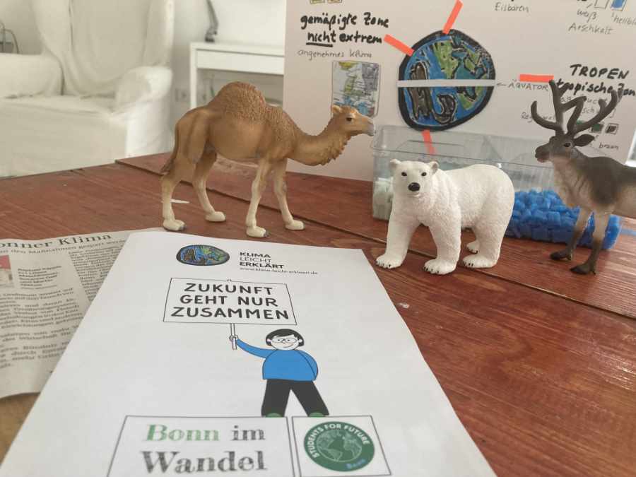 Auf einer Tischplatte ist vorne die Oberseite eines Flyers zu sehen. Da steht: Zukunft geht nur zusammen. Dahinter stehen 3 Tier·figuren: Ein Dromedar, ein Eisbär und ein Rentier.