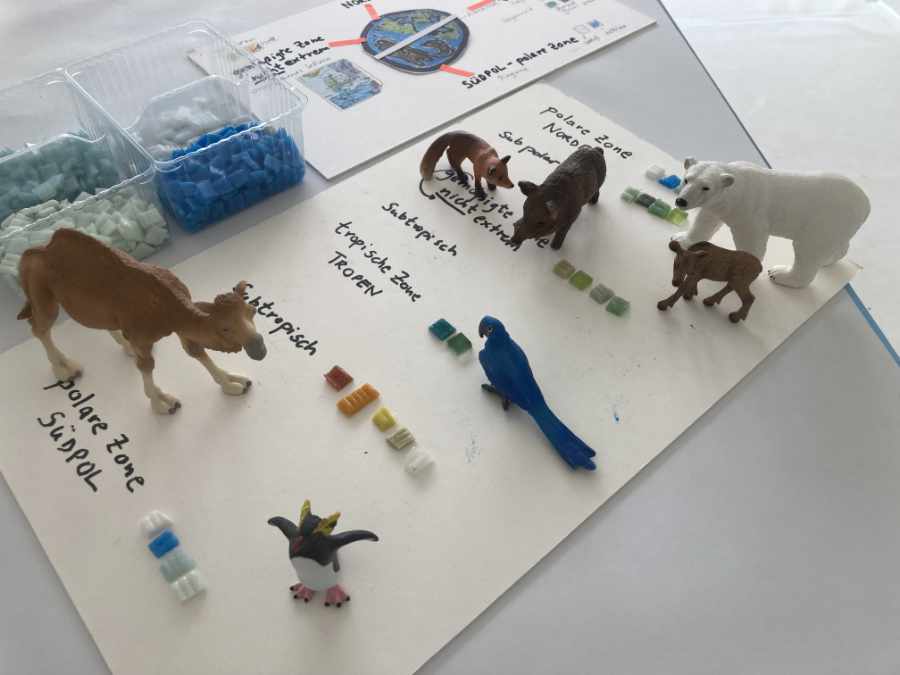 Tiere aus Kunststoff auf einem weißen Untergrund. Neben den Tieren liegen farbige Mosaiksteine