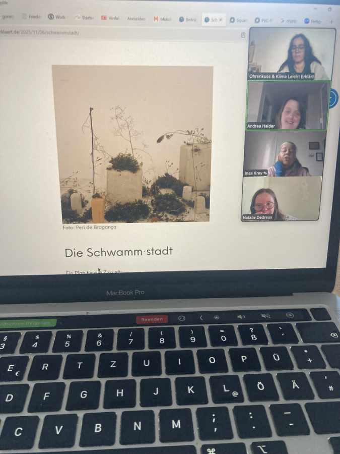 Ein aufgeklappter Laptop. 4 Frauen Zoomen. Links ist ein Foto zu sehen. Darauf sieht man naturfarbeneKlötze, Moos und Zweige.