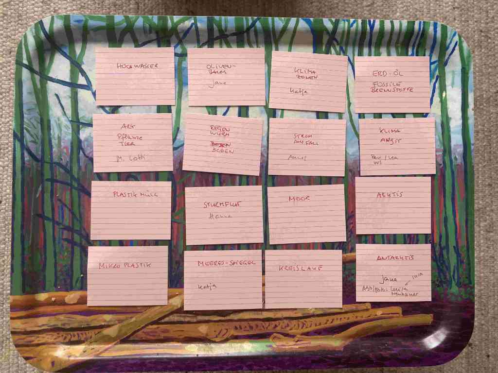 Auf diesem Foto sind 16 Karteikarten zu sehen. Auf den Karteikarten sind Stichworte zum Thema KLIMA geschrieben. Die Karteikarten liegen auf einem Tablett. Auf dem Tablett sieht man ein Bild von David Hockney.