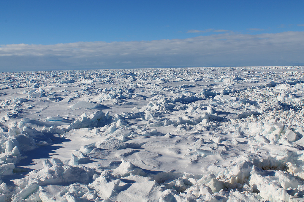 Auf dem Bild sieht man eine große Eisfläche, hinten am Horizont beginnt der blaue Himmel.