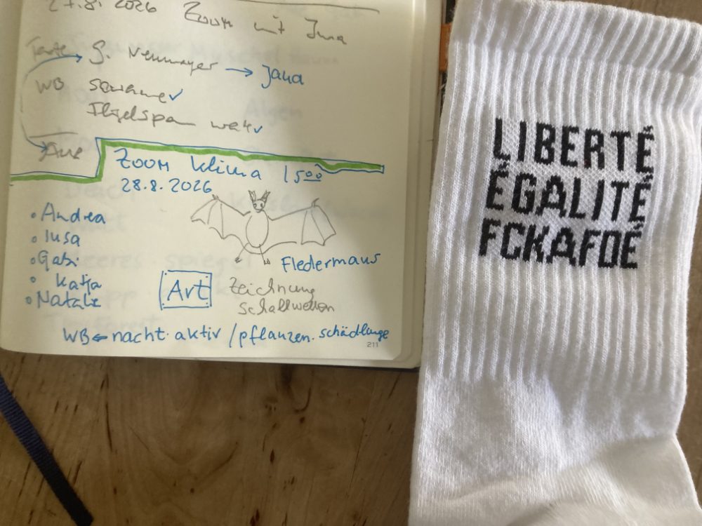 Ein aufgeschlagenes Notizbuch, es sind Stichwörter zu sehen. Und eine Zeichnung einer Fledermaus. Rechts daneben liegen weiße Socken. Darauf steht in schwarzer Schrift: Liberté, Egalité, FCKAfD.